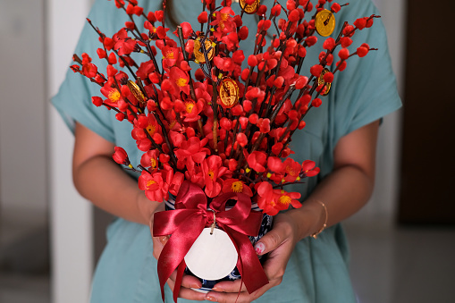 Close-up shot of unrecognizable woman bringing Chinese new year gift. She's holding a vase with red fake plum flower blossoms