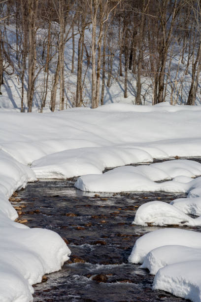 istock Snow melting river in the mountain 1456471599
