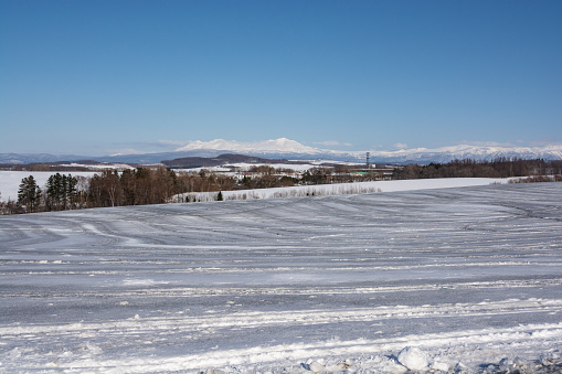 Fields covered with snow-melting agent  and snowy mountains on a sunny winter day