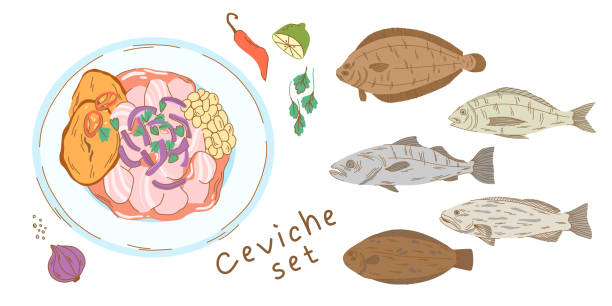 ilustraciones, imágenes clip art, dibujos animados e iconos de stock de un juego de ceviche con pescado para cocinar y un plato con un aperitivo. ceviche de pescado con boniato - fish prepared fish fishing bass