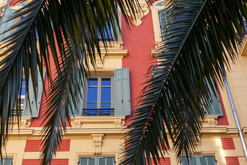bright painted building behind palm leaves in a southern european city