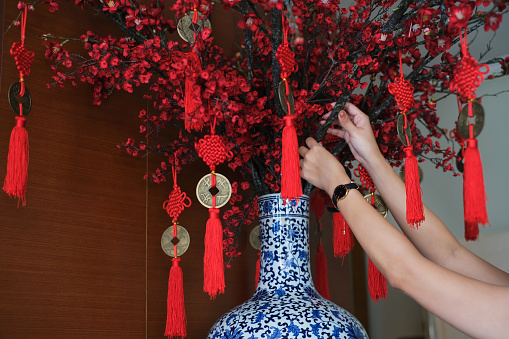 Close-up shot of unrecognizable woman arranging Chinese new year decoration of faux plum flower blossom branch on Chinese ceramic vase.