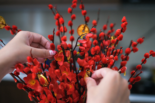 Close-up shot of unrecognizable woman arranging fake plum flower decoration for Chinese new year