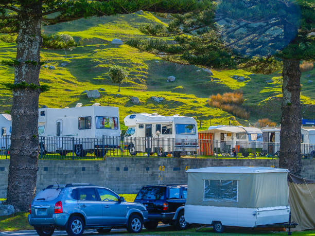 istock Holiday makers recreational vehicles and campers under tall trees 1456475747