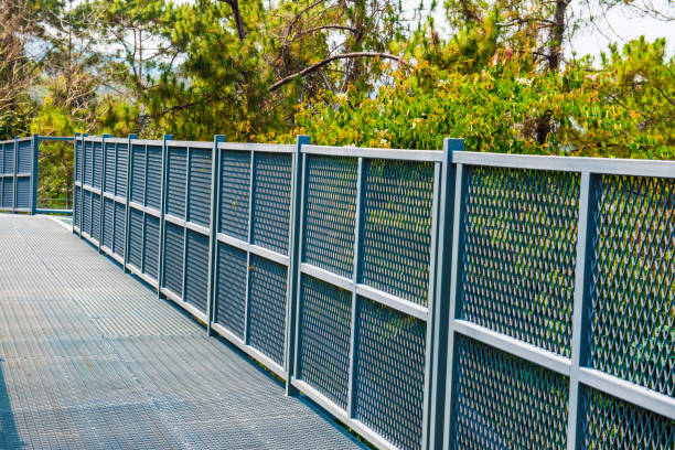 istock Canopy Walkway of Queen Sirikit Botanic Garden 1456478548