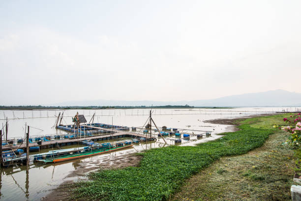 istock Landscape View of Phayao Lake 1456484692