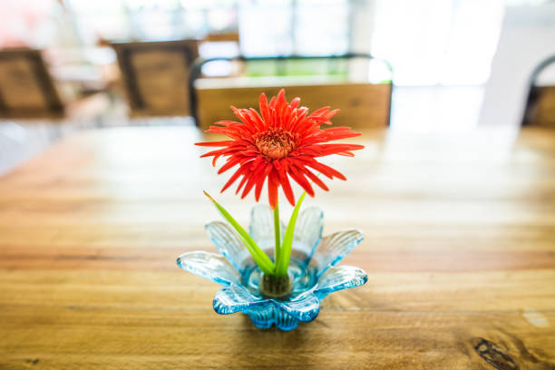 Little Gerbera flower on wooden table, Thailand
