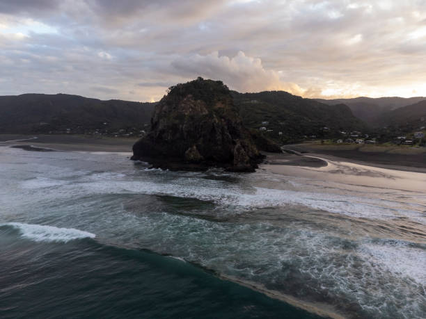 istock Lion Rock, Piha, New Zealand 1456488113