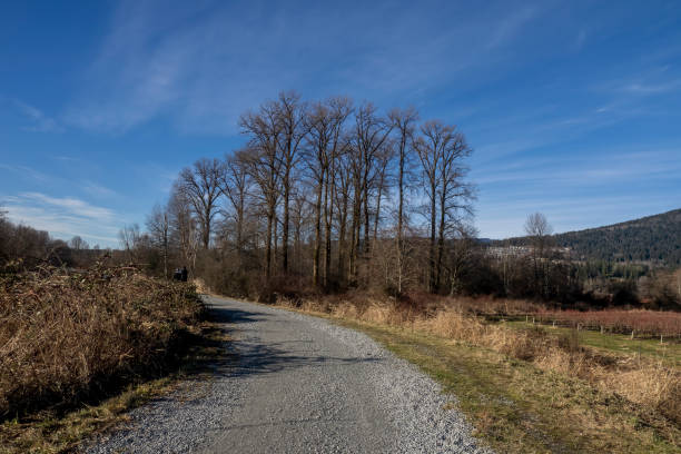 istock Coquitlam DeBoville slough trail 1456491159