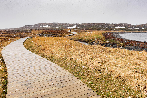 L'Anse aux Meadows, on the northern tip of Newfoundland, is the only known site of a Norse village in Canada.