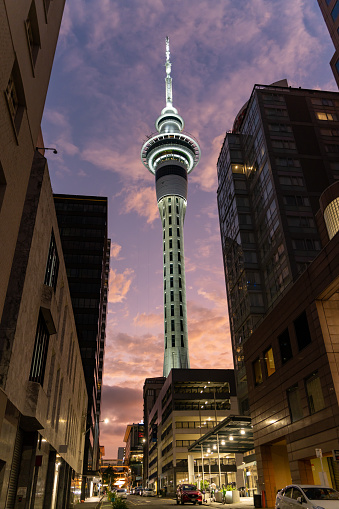 Auckland, New Zealand - December, 2022: illuminated Sky Tower in golden time