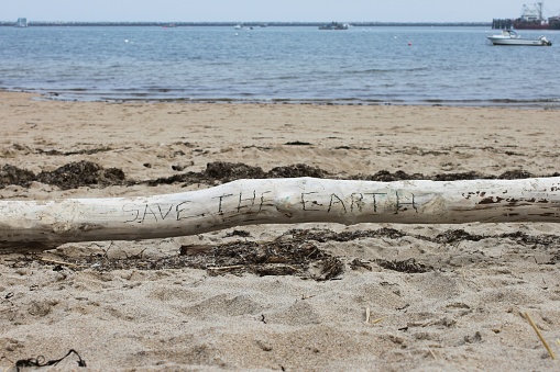Someone carved a meaningful message on a log