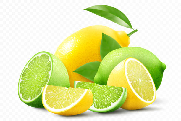 illustrazioni stock, clip art, cartoni animati e icone di tendenza di composizione di lime e limone. agrumi freschi. intero, metà e affetta i frutti. illustrazione vettoriale 3d realistica - lime ripe fruit citrus fruit