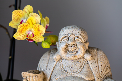 A small statuette of the laughing Buddha with yellow orchid flowers.
