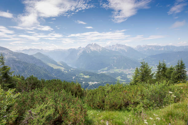 Views of the Bavarian Alps from de Eagles Nest Views of the Bavarian Alps from de Eagles Nest (Kehlsteinhaus in German), in the Berchtesgadener Land district of Bavaria in Germany dwarf pine trees stock pictures, royalty-free photos & images