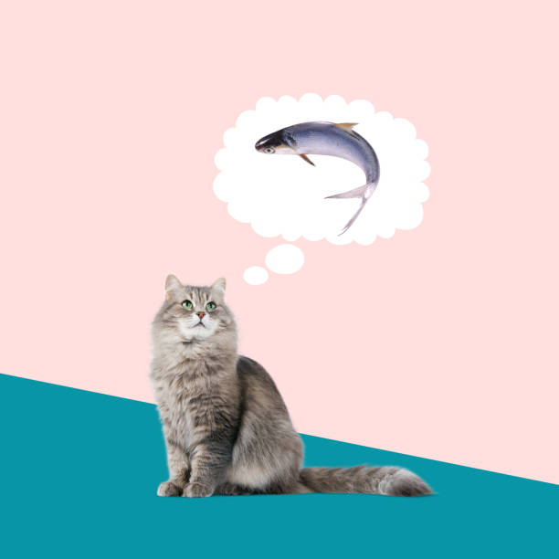 Contemporary with a cat dreaming of a fish. Modern design. Copy space for ad.