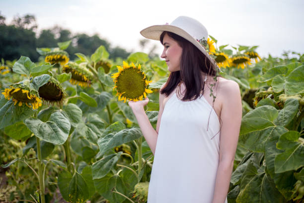 Free Stock Photo of Woman Standing in Sunflower Field | Download Free ...