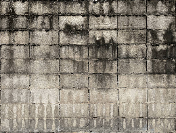istock Mold on Concrete Block Walls 1456524562