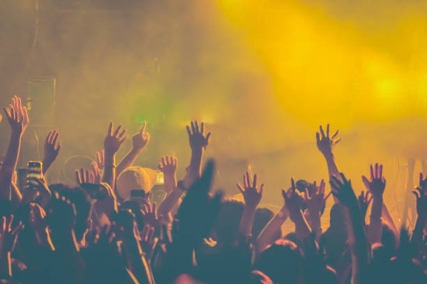 istock Music Festival At Night 1456530064