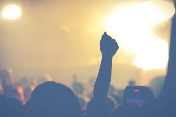 Music Festival At Night