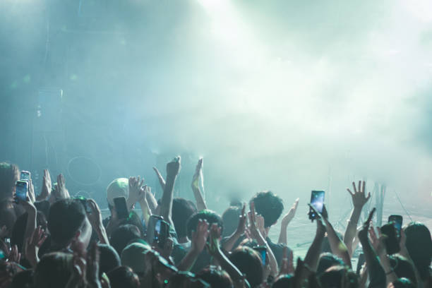 Music Festival At Night