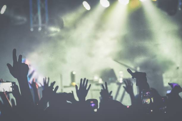 Music Festival At Night