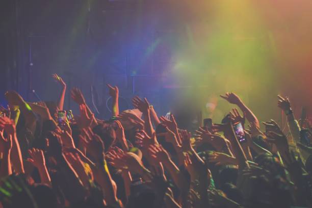 istock Music Festival At Night 1456530078