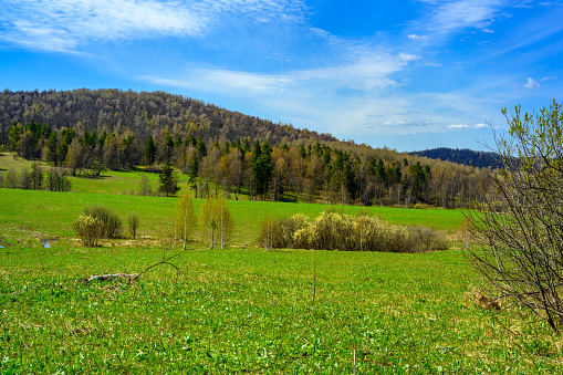 South Ural forest with a unique landscape, vegetation and diversity of nature in spring.