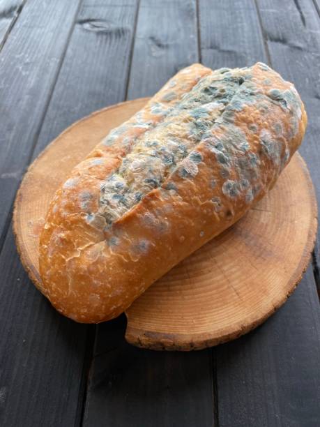 istock Moldy Bread On Wooden Background 1456537444