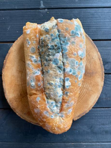 istock Moldy Bread On Wooden Background 1456537487