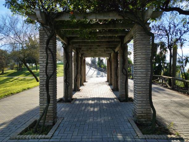 istock walk through the park of trees and plants 1456539746