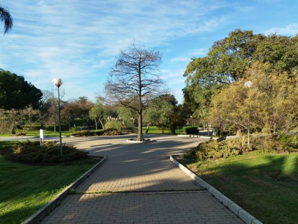 walk through the park of trees and plants