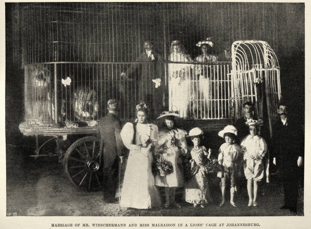 Vintage illustration after a photograph of Bizarre unusual wedding ceremony, Couple getting Married in the Lions Den, Johannesburg, 1890s, 19th Century