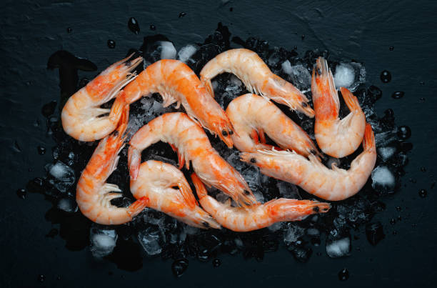 istock Food flat background, shrimp and ice on dark stone, top view 1456542724