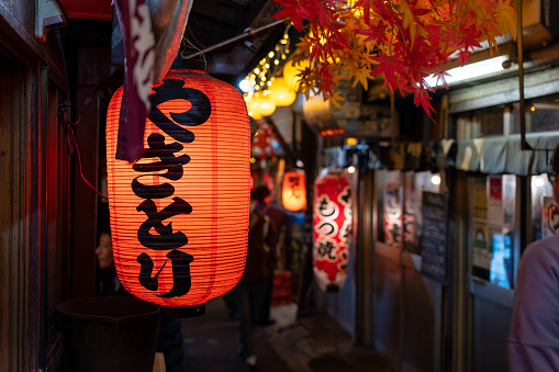 Red lanterns in downtown Shinjuku, Tokyo