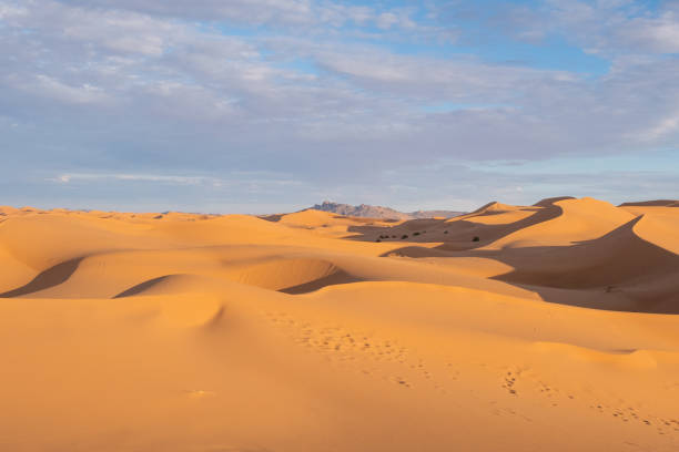 istock Beautiful sand dunes in the Sahara desert. 1456543730