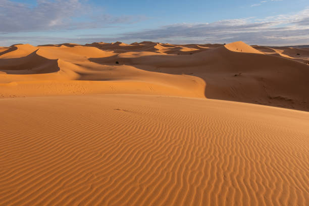 istock Beautiful sand dunes in the Sahara desert. 1456543731