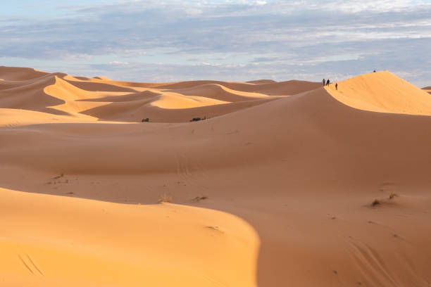 istock Beautiful sand dunes in the Sahara desert. 1456543745