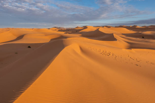 istock Beautiful sand dunes in the Sahara desert. 1456543747