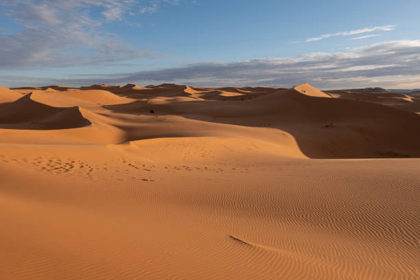 istock Beautiful sand dunes in the Sahara desert. 1456543750
