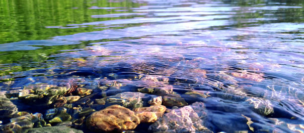 istock surface of water and gravel 1456549243