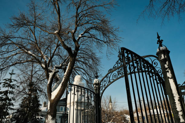 istock Iron gate to the winter park 1456549723