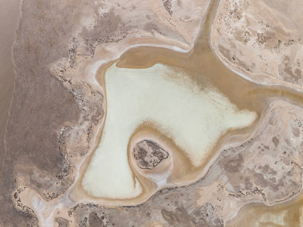 istock Natural shapes and textures on lake 1456550939