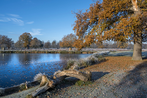 Surrey winter scene on a Cold frosty morning in December