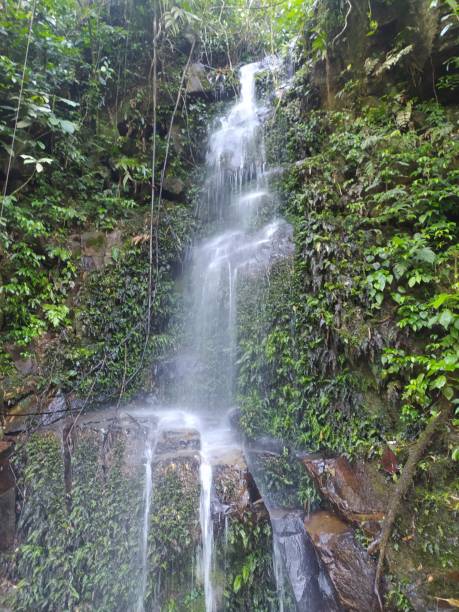 istock A small waterfall falling over the rocks in the Atlantic rainforest 1456552928