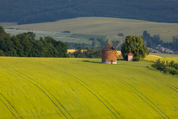 istock Windmill in Chvalkovice, Southern Moravia, Czech Republic 1456554370