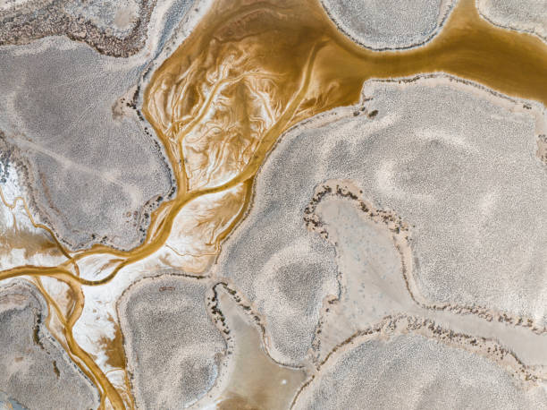 istock Natural shapes and textures on lake 1456555753