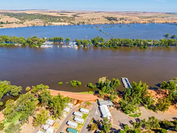 Aerial view looking over Mannum Holiday Park, temporary levee holding back River Murray floodwaters, submerged floodplain: red compressed soil levee in foreground with 2 parked up ferries (one partly hidden by trees); flowing River Murray in centre frame; submerged floodplains and agricultural land in background with inundated houses and shacks, moored houseboats and rolling hills. Mannum, South Australia with Bolto directly across the river.. Jan 12, 2023