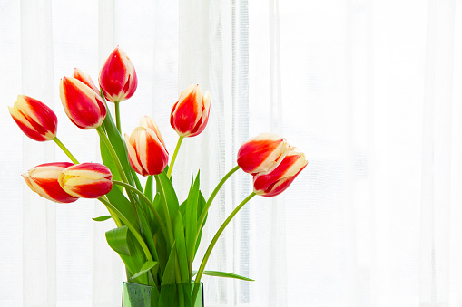 red and yellow tulip arrangement on bay window