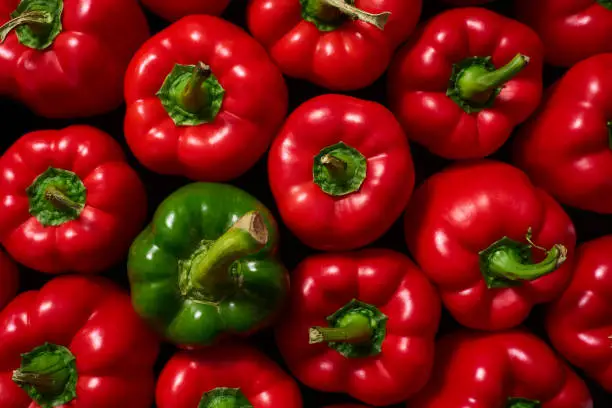 Photo of A single green sweet pepper surrounded by a group of red peppers. Sweet green and red bell peppers, top view.